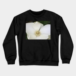 Ashburn, VA -- Spring Magnolia Tree Blossoms Crewneck Sweatshirt